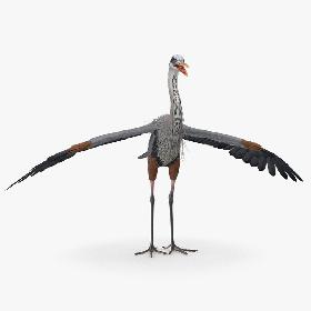 Great Blue Heron 3D